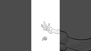 Como Atrapar Una Mosca