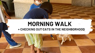 G-LOG #25 Hello, Kitty! | Morning Walk   Checking Out Cats in the Neighborhood 😺😺🐱🐱