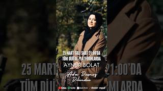 Aynur Bolat - Adın Düşmez Dilimden Resimi