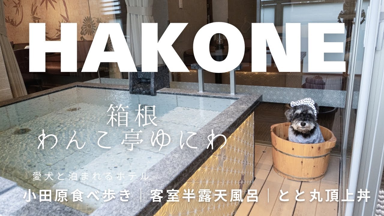 【犬と泊まれるホテル】小田原・箱根旅行 | 箱根わんこ亭ゆにわ | 全室客室温泉 | ミナカ小田原食べ歩き | 漁港の駅 TOTOCO小田原