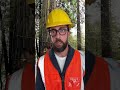 Loggers Remove Old And Dry Trees рџЊґ Treecutting Treefails Cutdowntrees Chainsaw Shorts Loggers Remove Old And Dry Trees рџЊґ Treecutting Treefails Cutdowntrees Chainsaw Shorts