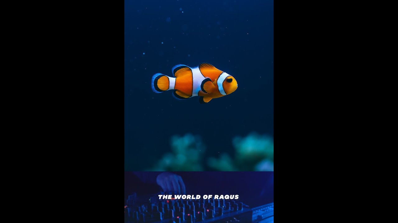 🎣 find Nemo...? - YouTube