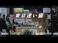 「東京迷い猫」 singer〜 "小田純平" covered by 雅
