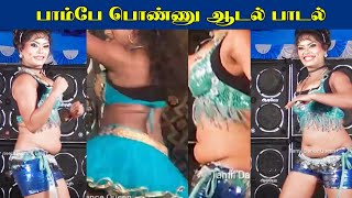 பாம்பே பொண்ணு | Adal Padal | Record Dance | Tamil Hot Item Song | Village Dance | Karakattam TikTok