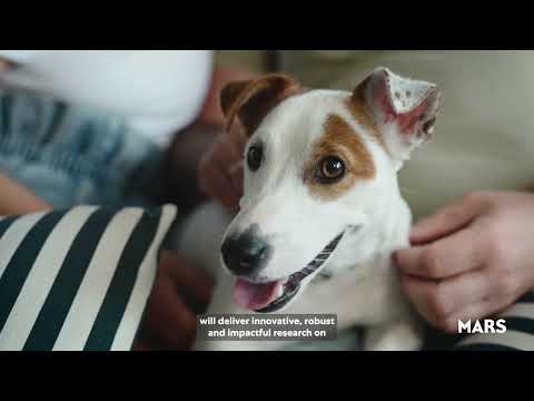 Mars Launches the Pets and Wellbeing Study (PAWS) program 🐶😺