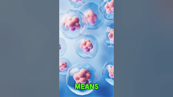 The Truth About Exosomes: What Sales Reps Don’t Tell You | Mesenchymal Stem Cells Explained