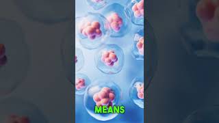 The Truth About Exosomes: What Sales Reps Don’t Tell You | Mesenchymal Stem Cells Explained