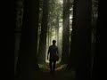 A sense of-  #scary * Deep in the woods* #Paranormal ￼#unusual #intense