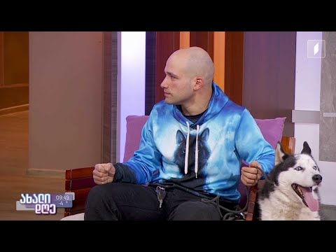 #ახალიდღე რუბრიკა „აკის პარკი“ - ძაღლის თვალით დანახული ბედნიერი თანაცხოვრება ადამიანთან