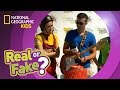 Real or Fake Game Show Questions