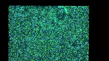 PXLib Demo - OpenGL ES 2.0