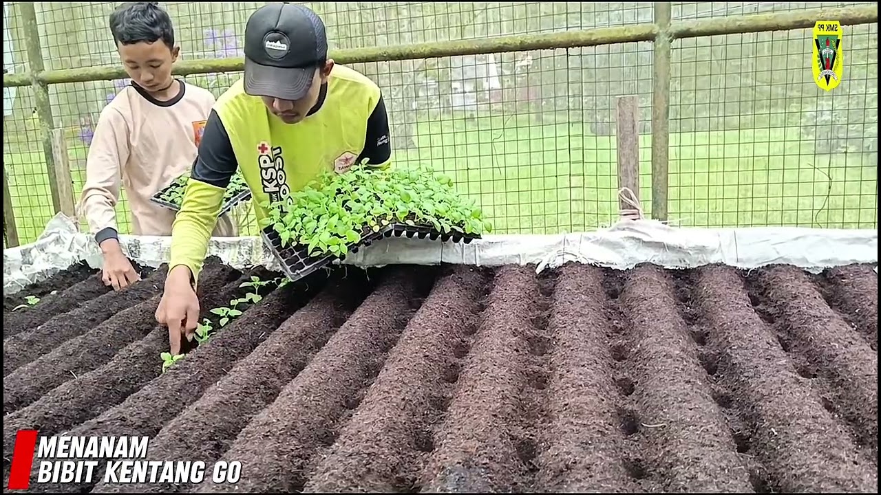 PENGALAMAN PKL DI HALO TANI 99