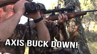 Just The Hunt- SemiLive Hunting- Axis Buck Down