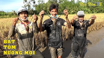 Về Miền Tây Bắt Tôm Khủng, Bắt Cá, Tôm Càng Gạch Son Nướng Mọi, Cá Lóc Nướng Trui Dân Dã/NGÃ NĂM TV