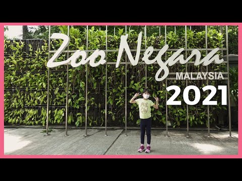 We Visited Zoo