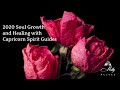 2020 Soul Growth and Healing with Capricorn Spirit Guides ~ Podcast