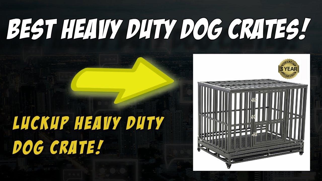Best Heavy Duty Dog Crates The LUCKUP Heavy Duty Dog Crate Review