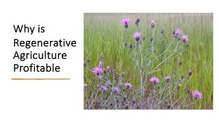 Why is Regenerative Agriculture ProfitableRuss Wilson