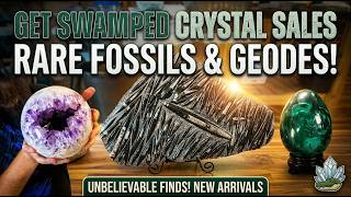 Full Warning: Crystal Collectors Will LOVE Tonight's Live Sale 💎 Update
