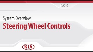 Celebrity System Overview: Steering Wheel Controls Net Worth