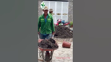 Thi Công Sân Vườn Đẹp - Phần 28