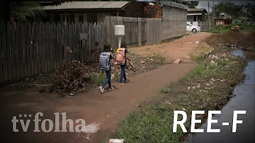 Em quais estados brasileiros as áreas remanescentes do Cerrado são maiores?