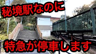 【謎】特急が全列車停車する秘境駅がありました