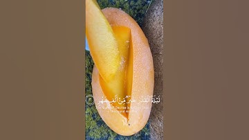 سورة القدر || ياسر الدوسري #اكسبلور #القرآن_الكريم
