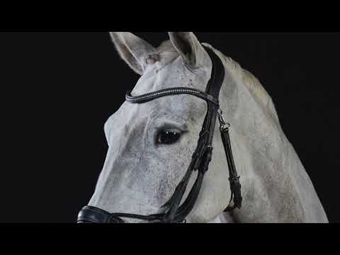 GFS Premier Alpine Bridle - Product Video