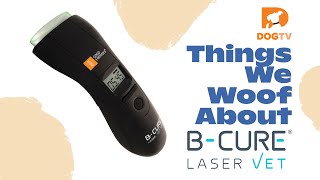Things We Woof About: B-Cure Laser Vet