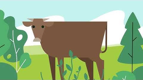 Range and Pasture: Small Sprayer Calibration and Application Tips | Corteva Agriscience Canada