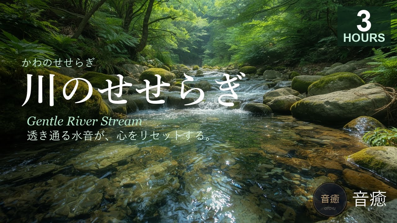 川のせせらぎ 3時間 | 透き通る水音が心をリセットする | 睡眠用・作業