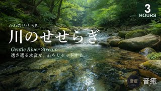 風水球✨せせらぎ水流音✨水の音✨癒し✨ 睡眠✨浄化✨ 川のせせらぎ 3時間 | 透き通る水音が心をリセットする | 睡眠用・作業