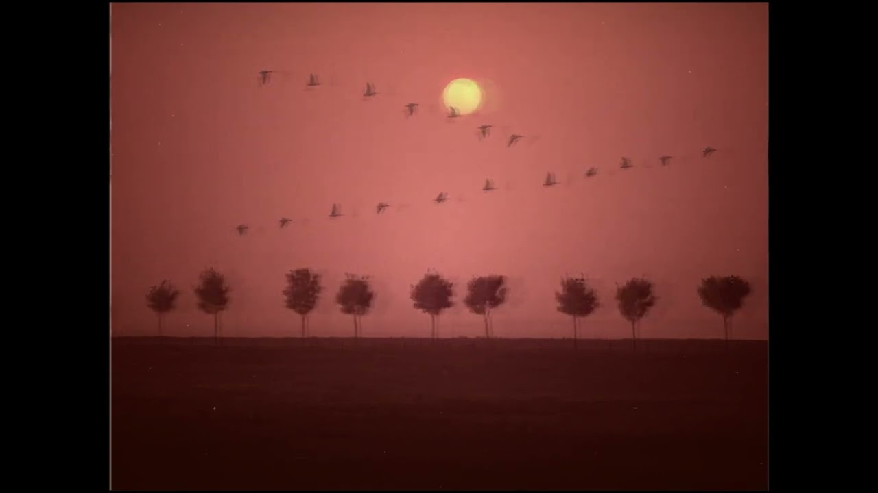 [FREE] Acoustic Guitar Type Beat (Singer/Songwriter) - The Only One