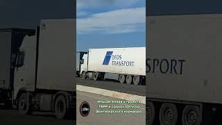 Ильхам Алиев о проекте TRIPP и сроках запуска Зангезурского коридора