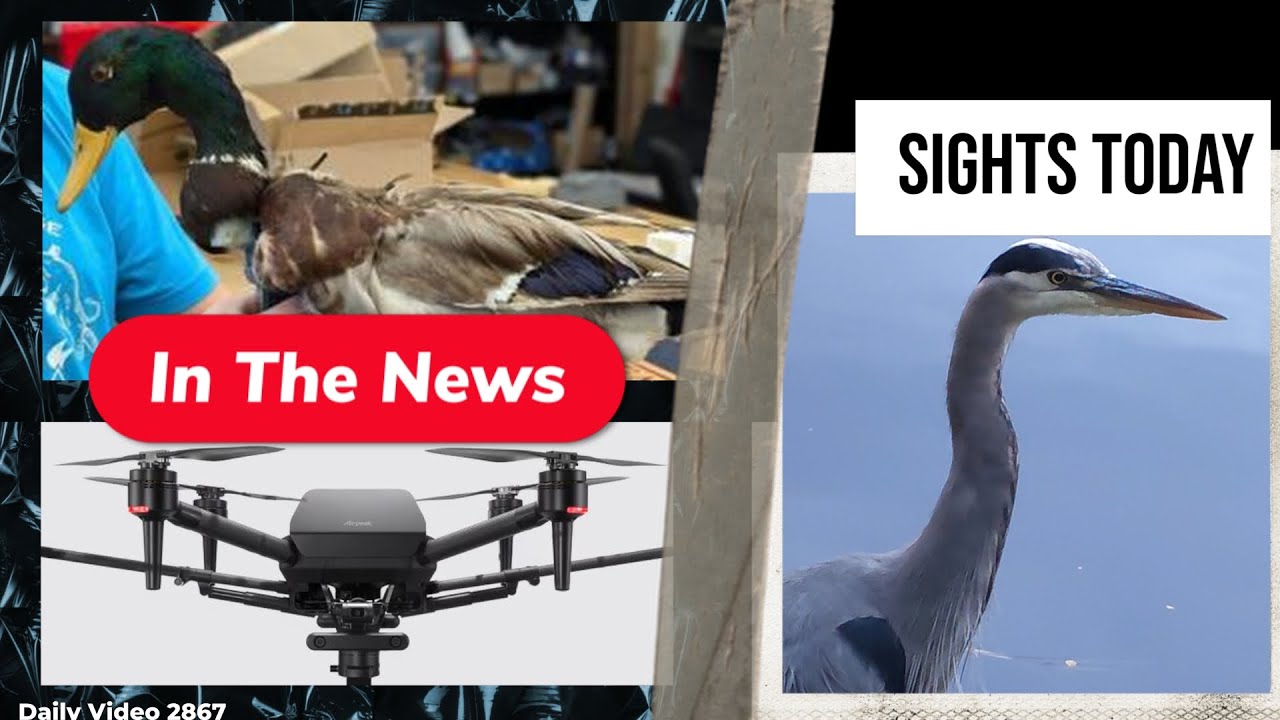 Zombie Bird Drones, Sony Airpeak Discontinued, Drone Operator Arrested