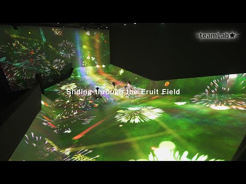 Sliding through the Fruit Field