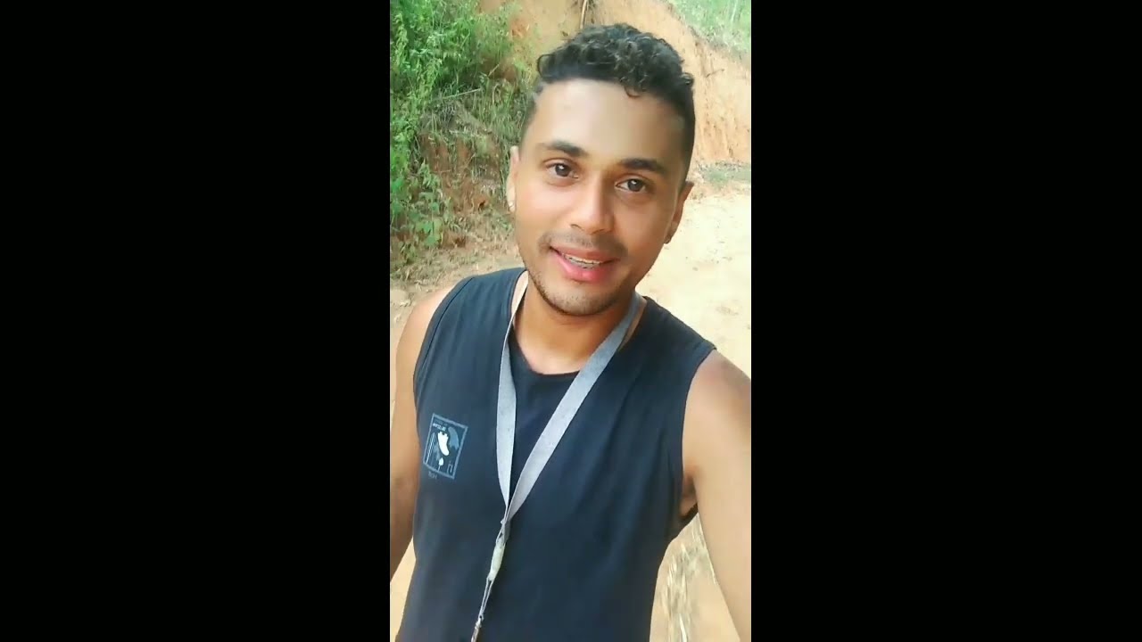 Procurando abelha jatai achamos uma Procurando abelhinhas Nativas RJ