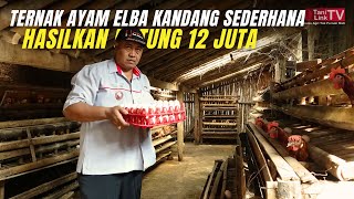 Cara Biar Untung Ternak Ayam Elba Ala Pak Kepala Desa