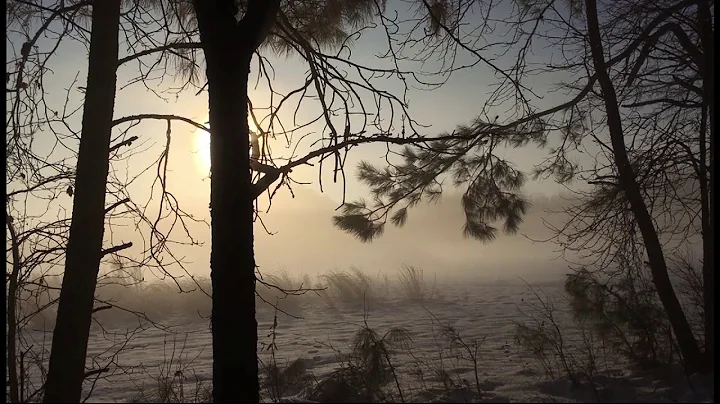 Travels With Charlie: Snow Mist in the Morning