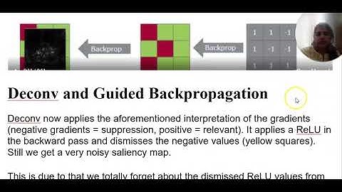 Visualizing Deep Learning Models through Guided Backpropagation