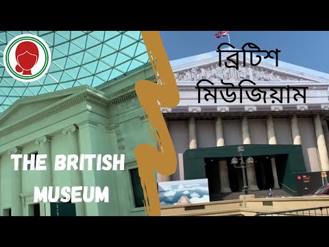 ভিডিও: আবার কচ্ছপ সম্পর্কে। জেমস হপকিন্স দ্বারা ইনস্টলেশন