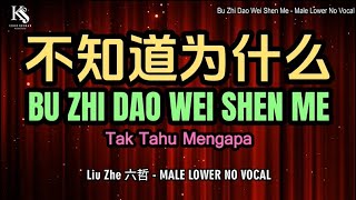 Bu Zhi Dao Wei Shen Me 不知道为什么 Tak Tahu Mengapa (Liu Zhe 六哲)  - Male LOWER No Vocal