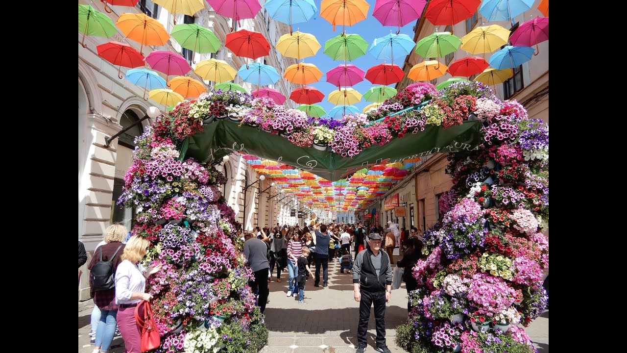 TIMISOARA FLOWER FESTIVAL ROMANIA YouTube