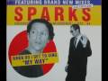 Sparks  when do i get to sing my way the grid radio edit 1994