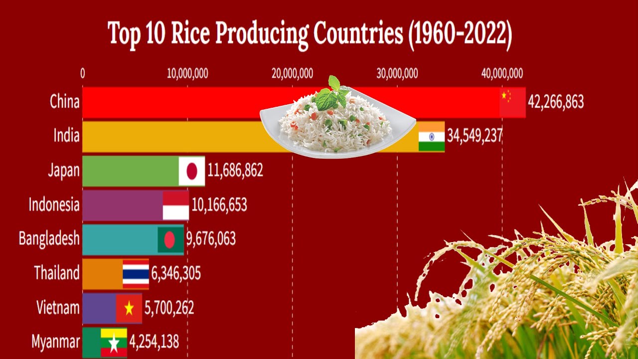 Top 10 Rice Producing Countries (1960 2022 ) Smart Ranking Charts