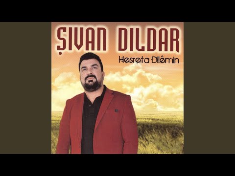 Hasreta Dılamın 
