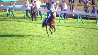 2013 10/27 第148回 天皇賞(秋)(GI) 本馬場入場 現地映像 ジャスタウェイ
