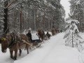 Страшные истории из жизни  На зимней дороге