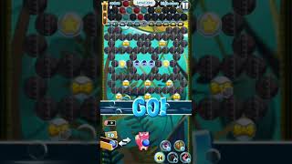 294 bubble mania